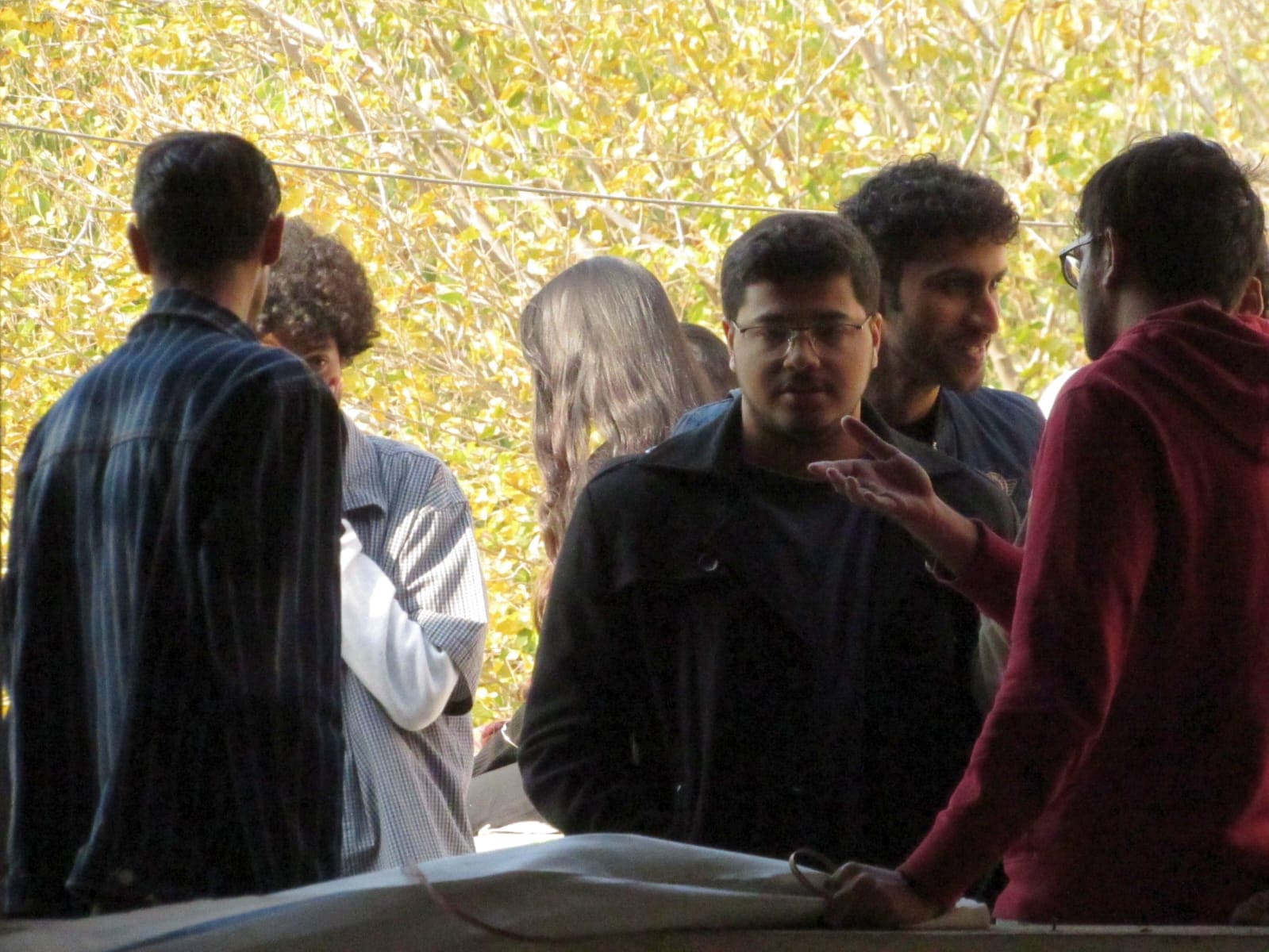 Students talk outdoors beneath autumn trees.